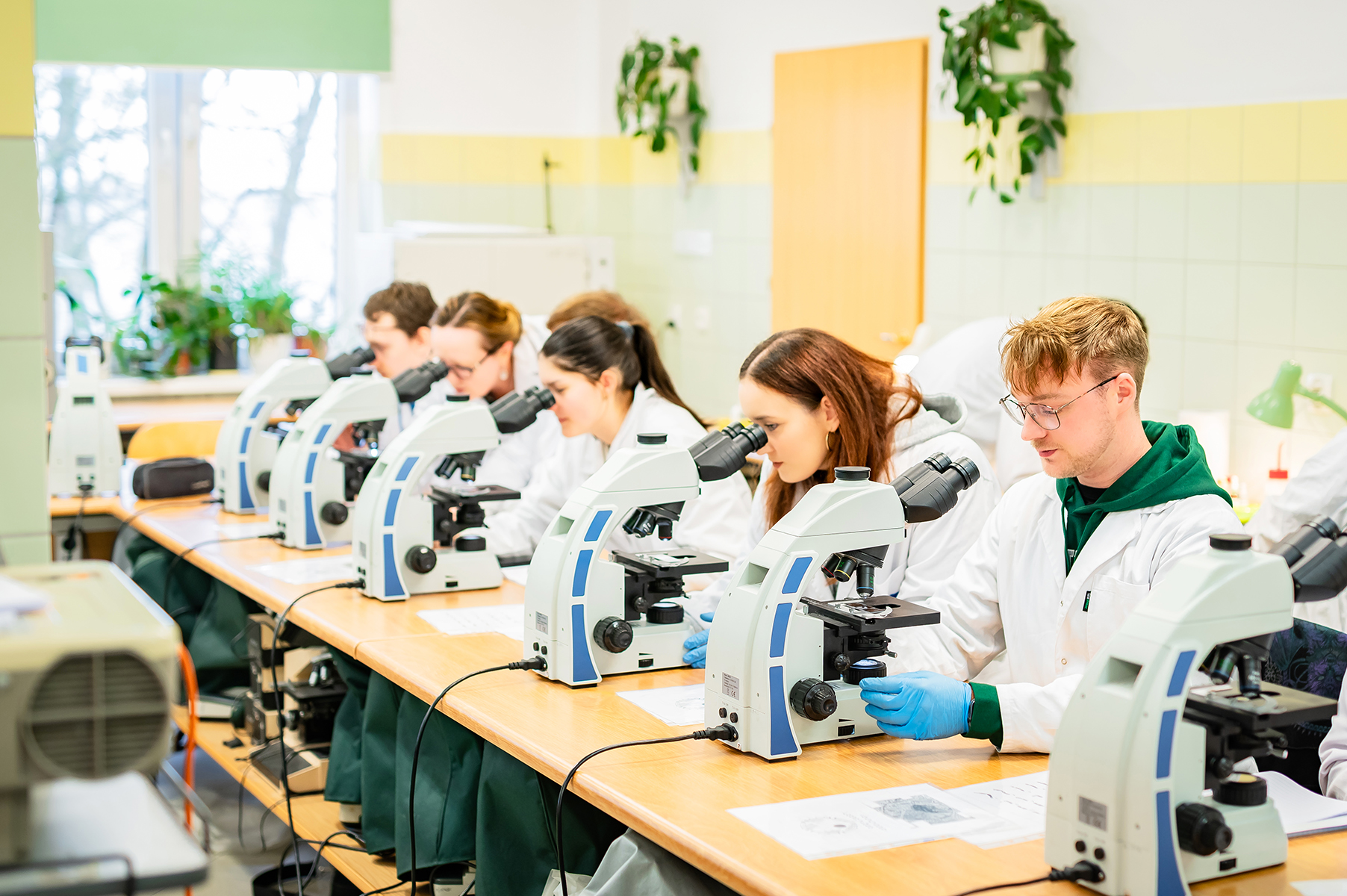 Grupa studentów pracująca przy mikroskopach w sali laboratoryjnej