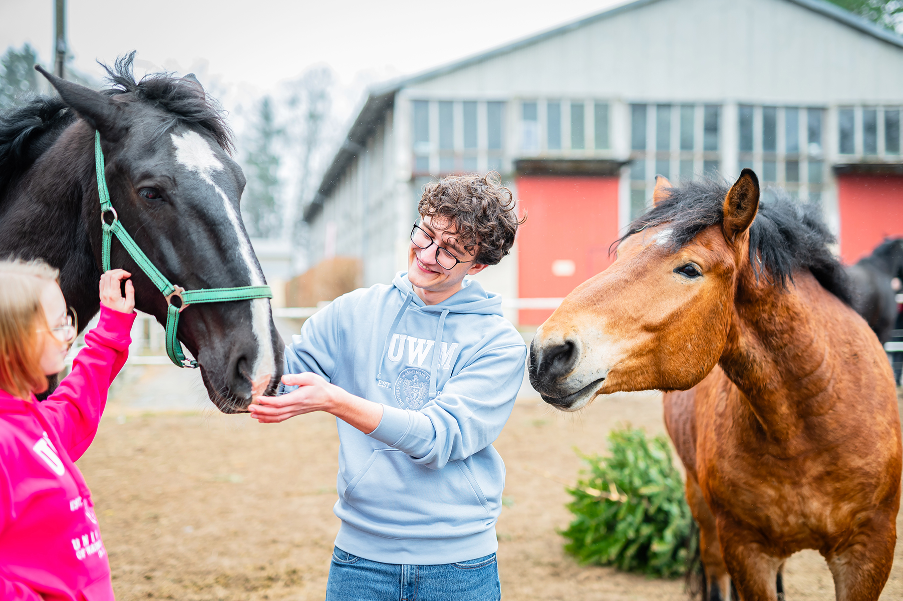 Studenci głaszczący konie przed budynkiem stajni