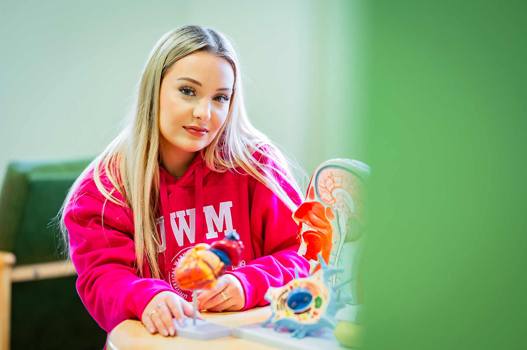 Studentka UWM przy modelach anatomicznych