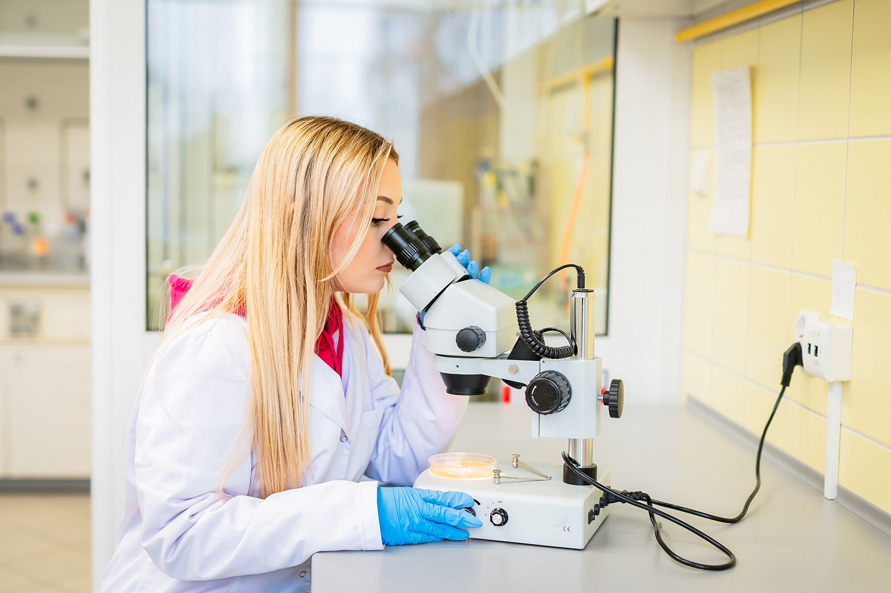 Studentka w białym fartuchu prowadząca obserwacje przy użyciu mikroskopu