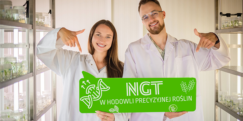 Nowe techniki genomowe w hodowli precyzyjnej roślin